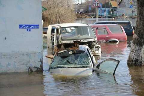 Погода в ишиме на ноябрь