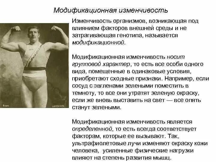 Появление у человека загара пример изменчивости Факторы вызывающие изменчивость: найдено 90 картинок