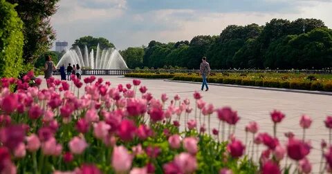 В москве много прекрасных парков