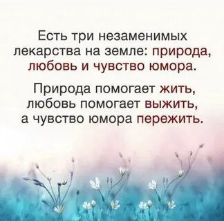 В жизни есть 3 даты