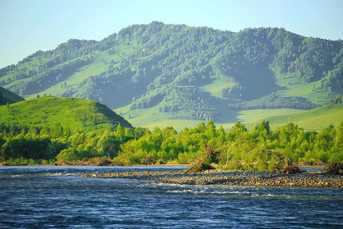 Чарыш Алтайский край село. Алтайский край Чарышский район село Чарышское. Чарыш Алтайский край природа. Село горный Чарыш. Бесплатный сайт алтайский край