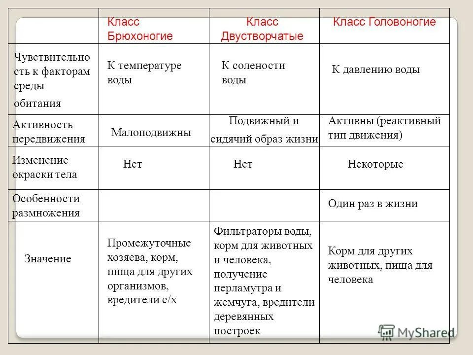 Таблица брюхоногие двустворчатые головоногие моллюски. Класс двустворчатые моллюски 7 класс биология таблица. характеристика классов моллюсков таблица 7. таблица классы моллюсков 7 класс биология. характеристика типа моллюски таблица.