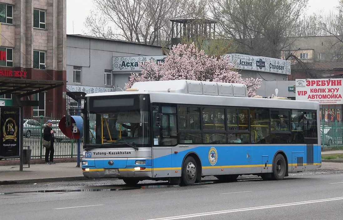 817 Автобус Москва. Автобус 817. Где автобус 817. Автобус 817 цена.