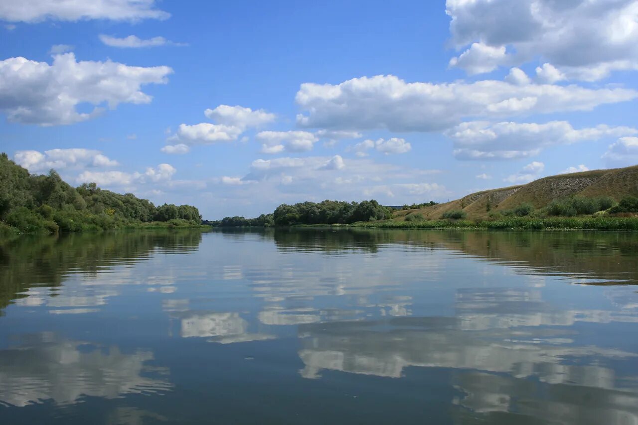 Река Вонча в Марий Эл. Река Дон в Рязанской области. Река Старчонка.