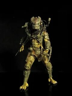 Desert stalker