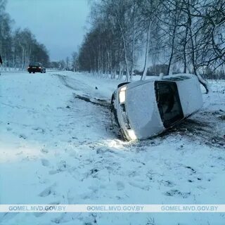 Чип гомель