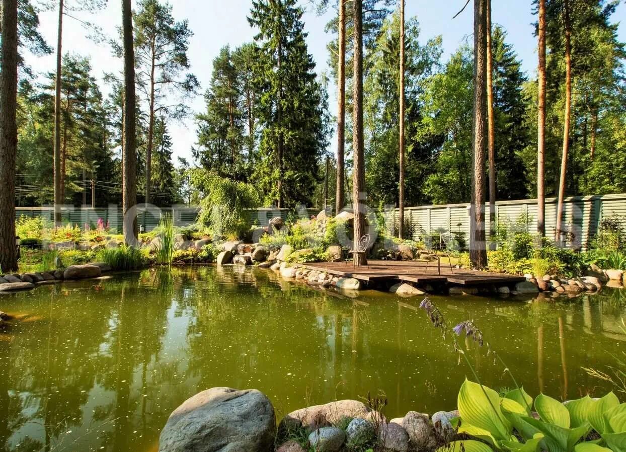 Курортная 27. Санаторий переделкино. Санкт-петербург, курортный р-н, пос. Курортная 27. Санаторий радуга агой фнс.