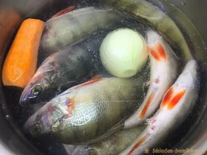 Рецепт простой ухи из речной рыбы