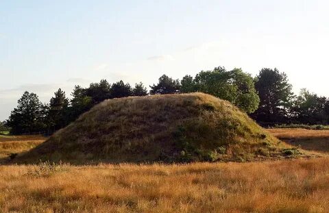 Курганный могильник