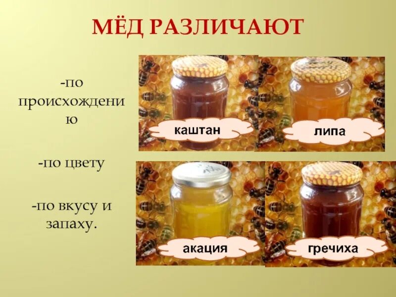 Какие сорта меда. Сорта меда. Разные сорта меда. Какой бывает мёд виды названия. Мед по цвету.