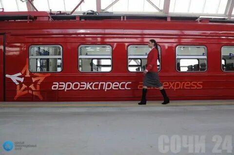 Ласточка адлер дагомыс