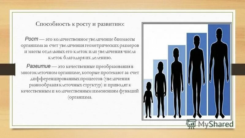 способны к росту. мольяр. способны к росту. факторы определяют физическую способность к экономическому росту. способны к росту.