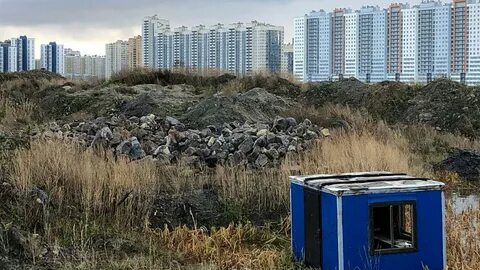 Экологический петербург