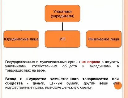Кто такие участники юридического лица