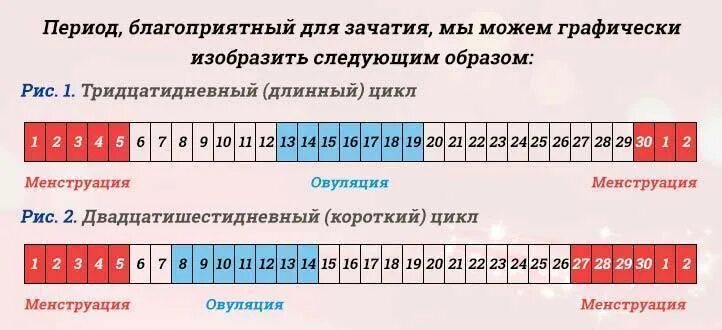 15 дней после месячных. Благоприятный период для зачатия. календарь зачатия после месячных. благоприятные дни для зачатия. в какие дни цикла можно забеременеть.