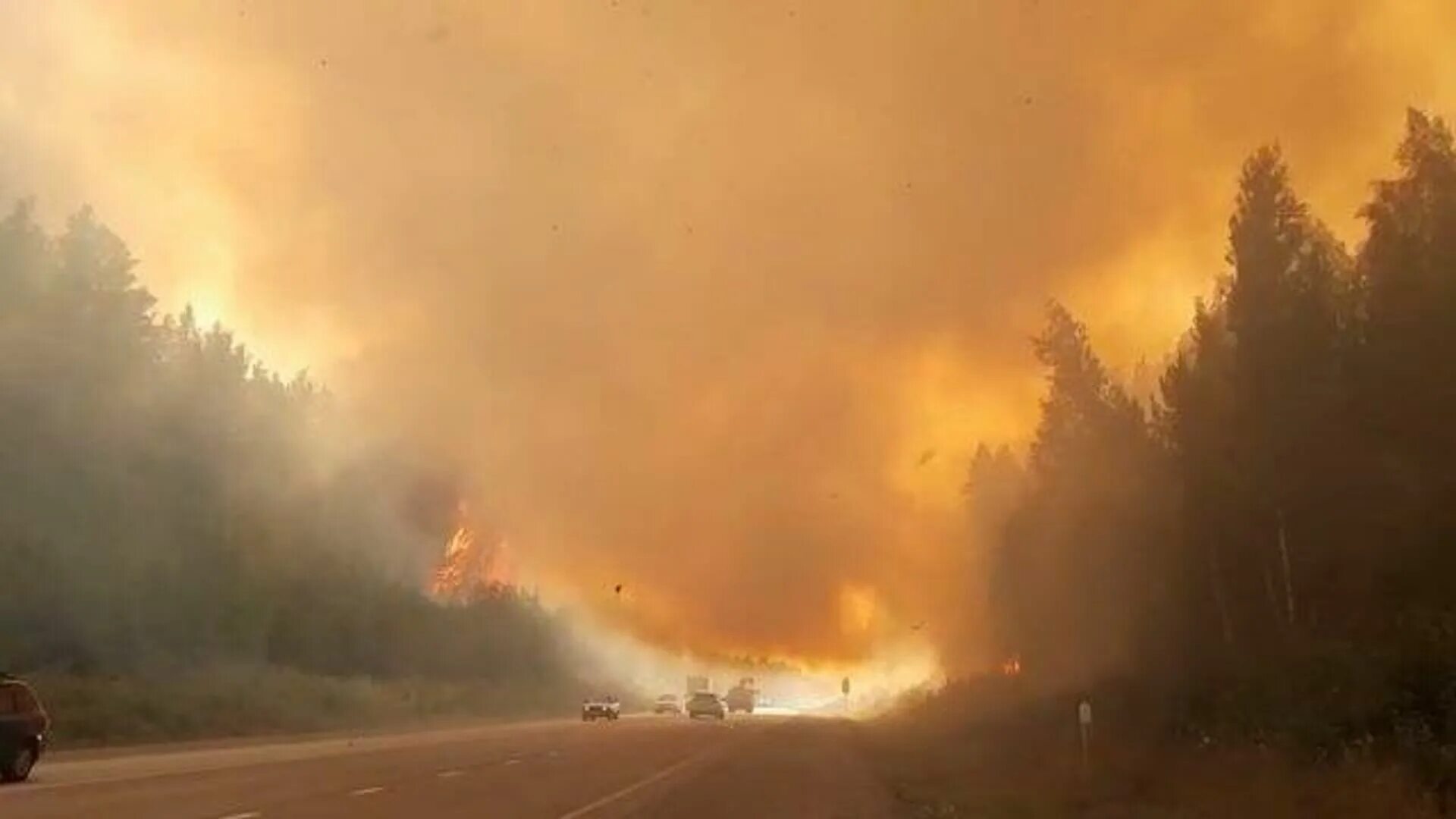 Пожар на Волчихе 2021. Трасса Пермь Екатеринбург пожар. Лесные пожары Екатеринбург. Лесные пожары в Свердловской области. Сгорели на дороге