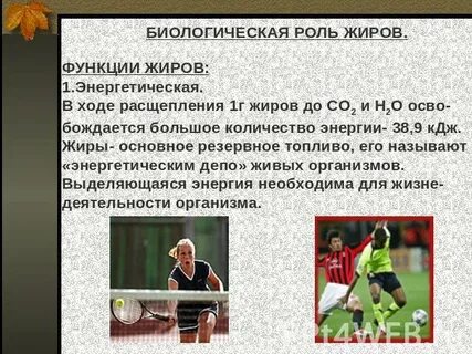 Сообщение биологическая роль жиров