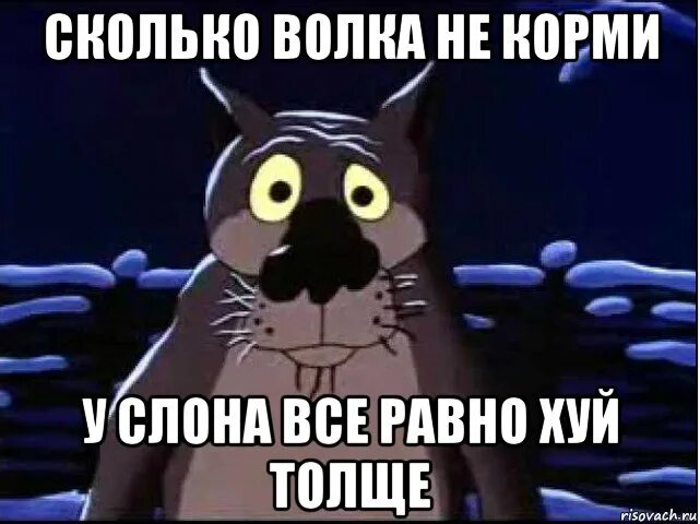 Рыжий кот картина по номерам "волки на охоте" 30х40 см. Сколько волка не корми он. Сколько волка не корми все равно в лес смотрит. Сколько волка не корми, он всё в лес смотрит. Сколько волка не корми он все равно.