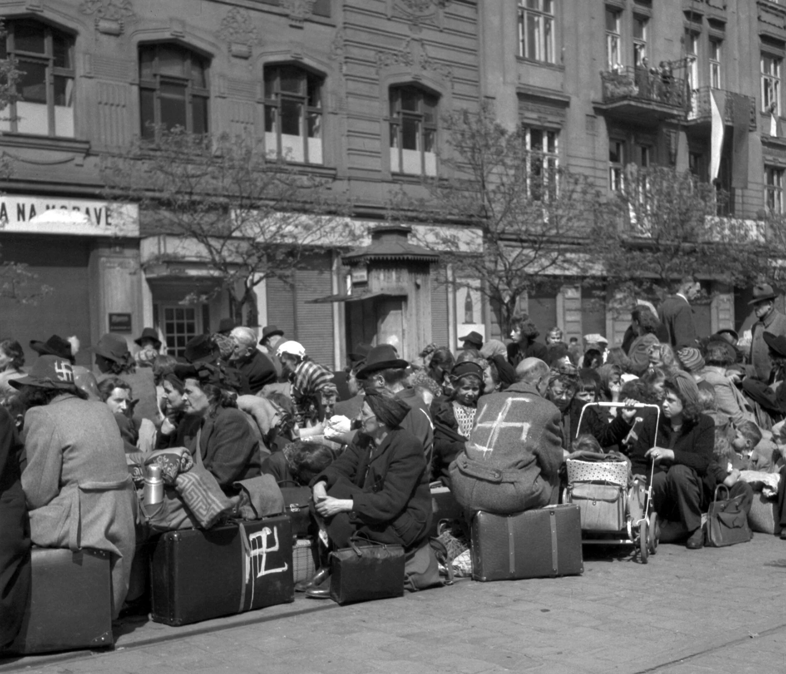 Немцы чехословакия. Депортация немцев из Чехословакии 1945. Чехи расстреливают судетских немцев 1945. Депортация немцев из Польши 1945. Изгнание немцев из Чехословакии.