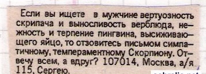 Объявление о знакомстве с мужчиной. Смешные объявления для мужчин. Смешное объявление ищу девушку. Смешные объявления про мужа. Смешные объявления от мужчин.