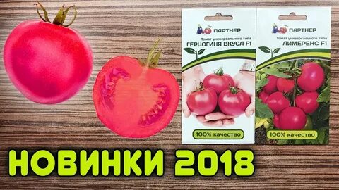 Томат мечталин