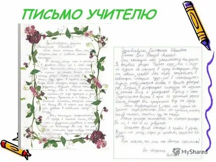 Письмо учителя из старого оскола крик души