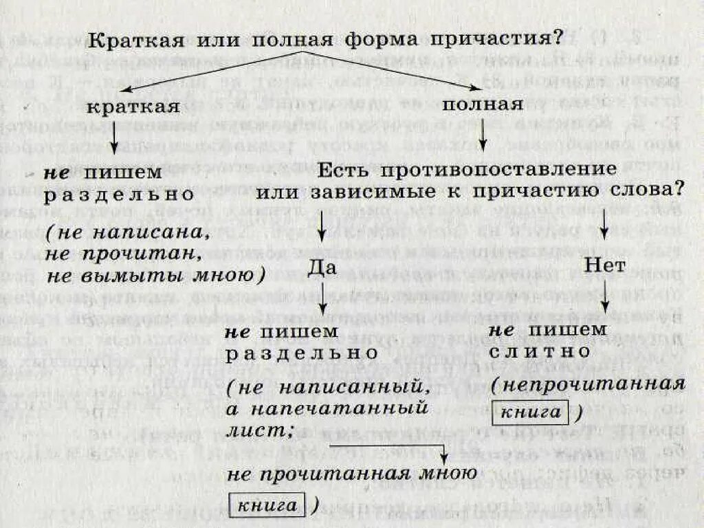 Правило Слитное и раздельное написание не с причастиями 7 класс. Схема правописание не с причастиями. Слитное и раздельное написание не с причастиями алгоритм. Алгоритм правописания не с причастиями. Нечищеный пол полное причастие