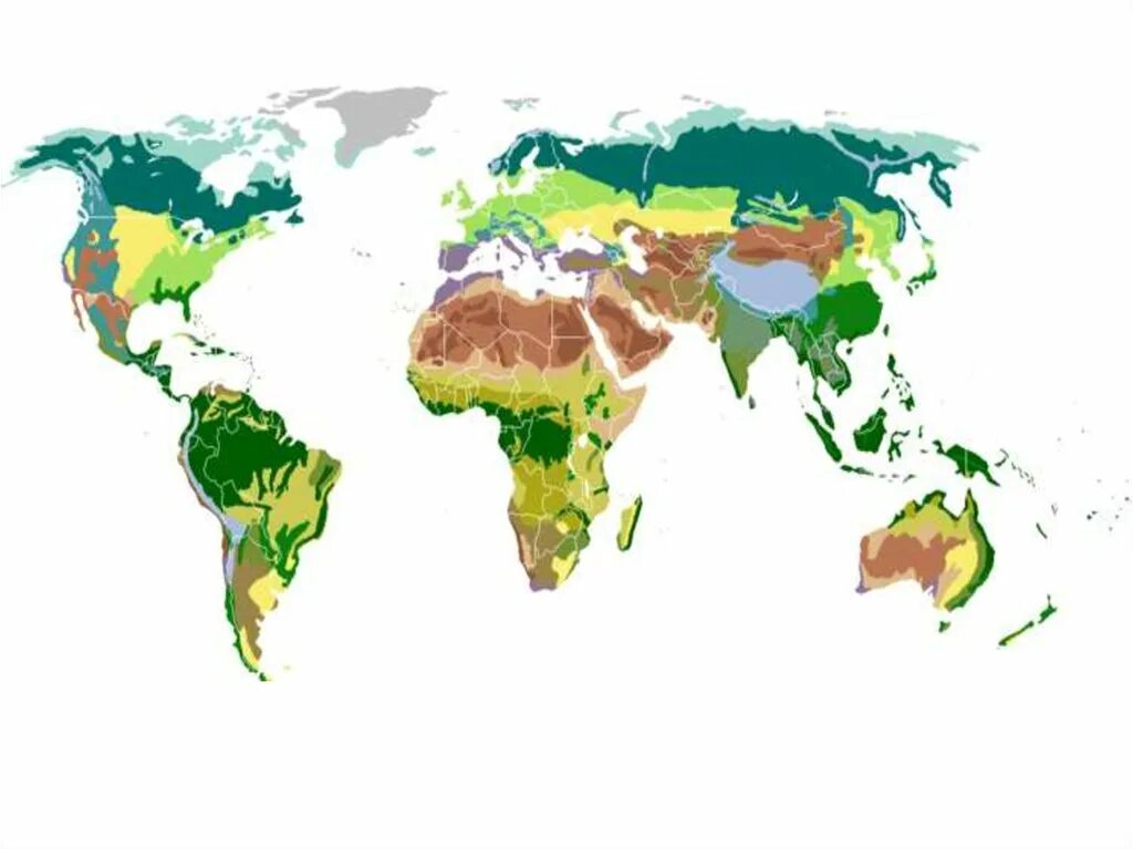 Байкал горы лес. Евразия климат природные зоны атлас. Евразия экосистема. Природные зоны евразии 7 класс география. Карта климатических поясов евразии.