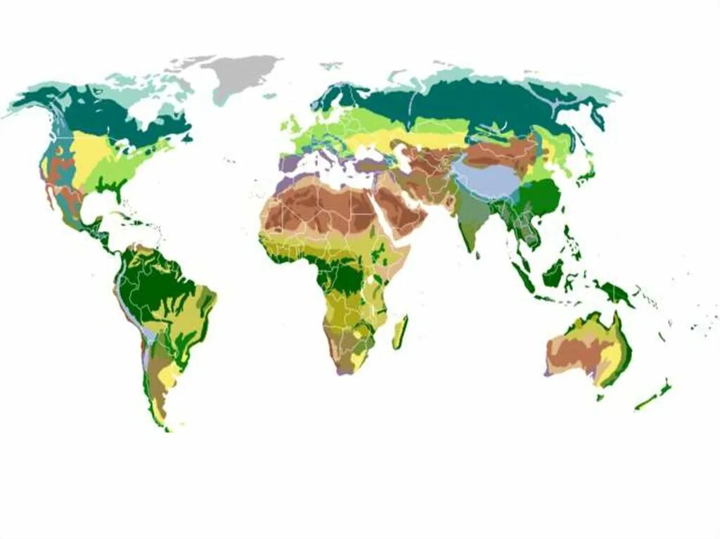 Какая природная зона занимает внутренние районы материков. Природные зоны земли карта.