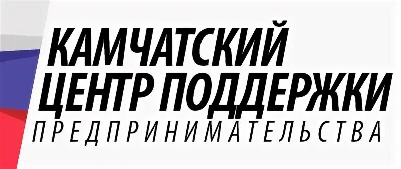 Поддержка предпринимательства камчатский
