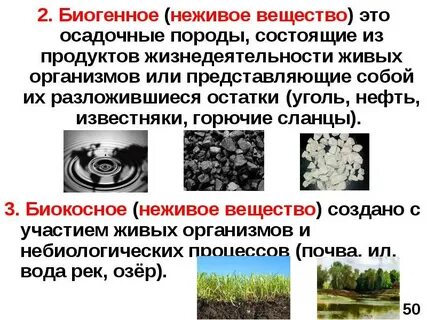 Вещество это в биологии