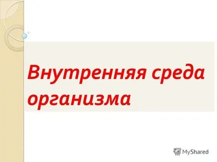 Внутренняя среда организма презентация