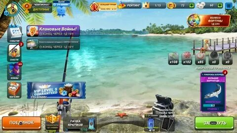 Clashing fish