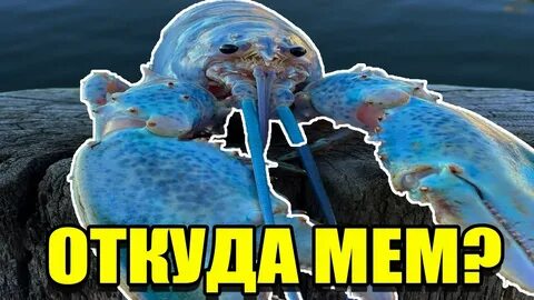 Голубой мем