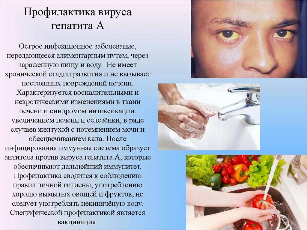 Заболевания передающиеся через пищу. Гепатит профилактика заболевания. профилактика вирусных заболеваний. меры профилактики гепатита в. профилактика вирусного гепатита в.