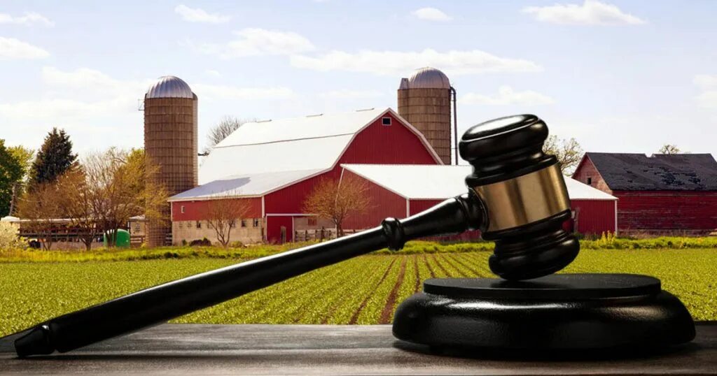 Поля. Земли сельскохозяйственного назначения. Земельные участки сельскохозяйственного назначения. Сельскохозяйственные земли. Земельные ресурсы.