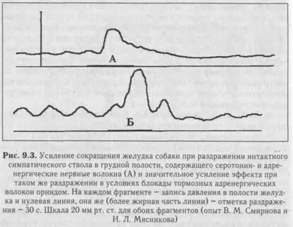 Усиливает сокращения