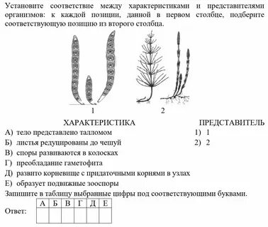 Решу егэ биология экология