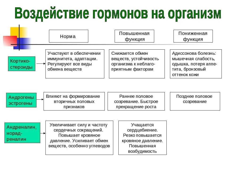 Функция воздействия заключается в. Действие гормонов на организм. Гормоны и их влияние на организм. Влияние гормонов на организм человека. Влияние гормонов на органы.