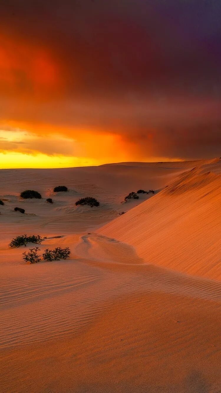 Рассвет в пустыне. Гта 5 пустыня. Мужчина на песке в пустыне. Desert rose ремикс 2021. Мелодии на мобильных телефонах.