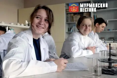 Дело мурманск