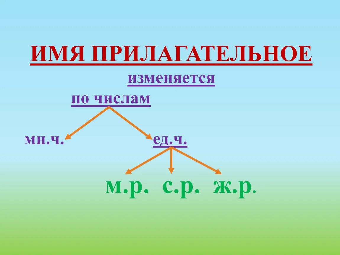 Имя прилагательное изменяется по. Имя прилагательное изменяется по числам. Имена прилагательные изменяются по числам. Как изменяется имя прилагательное. Число прилагательных 2 класс школа россии