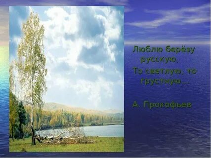 Я помню белую березу