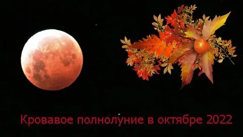 9 октябрь 2022