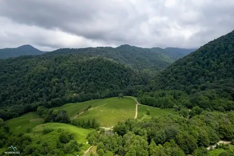 Село калиновое озеро сочи слоны