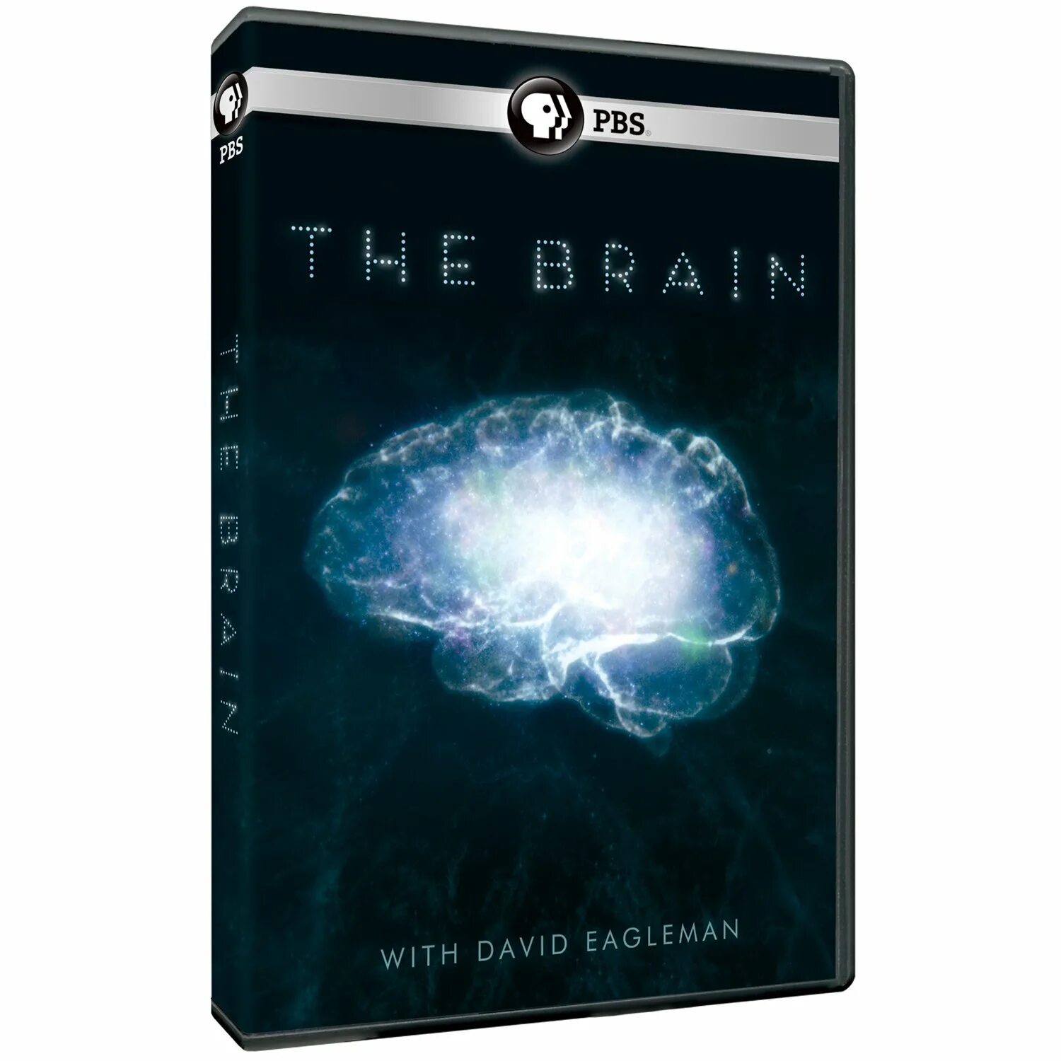 Мозг Дэвид Иглман. Нейробиолог Дэвид Иглман. Дэвид Иглмен мозг ваша личная история. Мозг книга Дэвид Иглман.