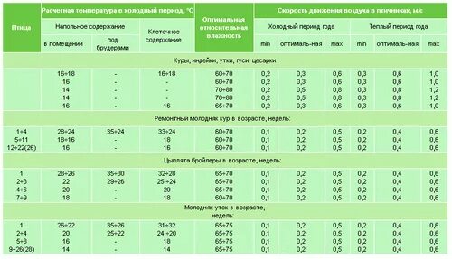 Температура в брудере для индюшат. Температурный режим в инкубаторе для куриных яиц таблица. Таблица температур на инкубаторе для курей. Температура в инкубаторе для цыплят таблица. Таблица температуры в инкубаторе для бройлерных яиц.