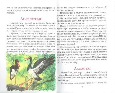 Красный лес книга 3