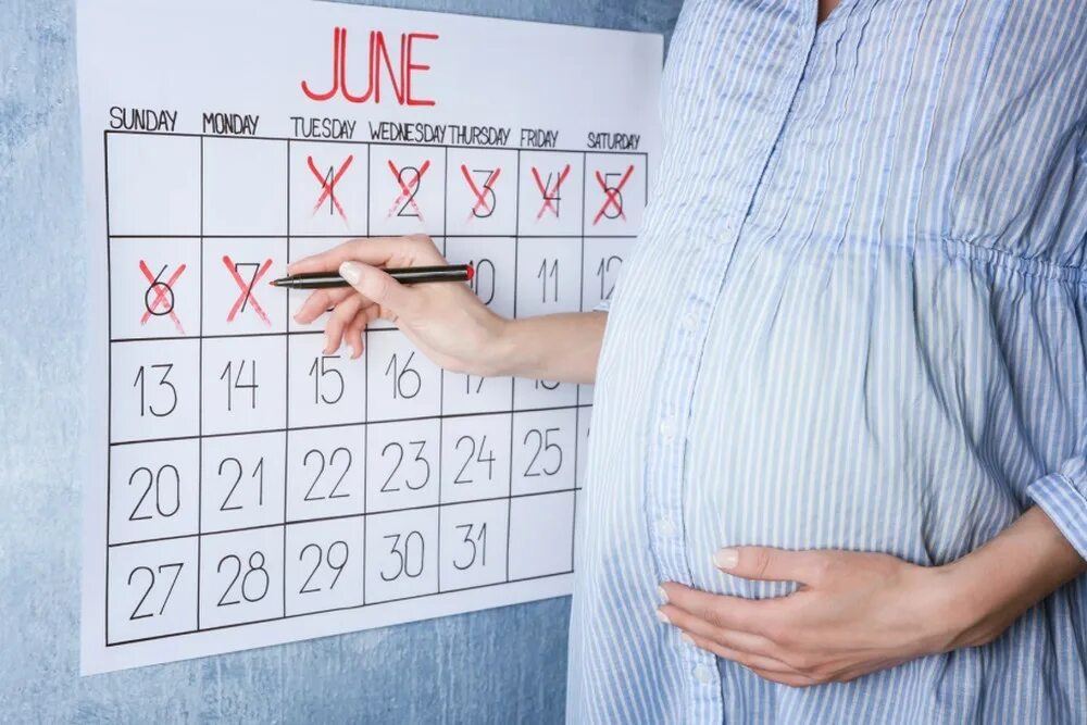 Календарь беременности. Календарь беременной. Календарик беременности. День родов календарь.