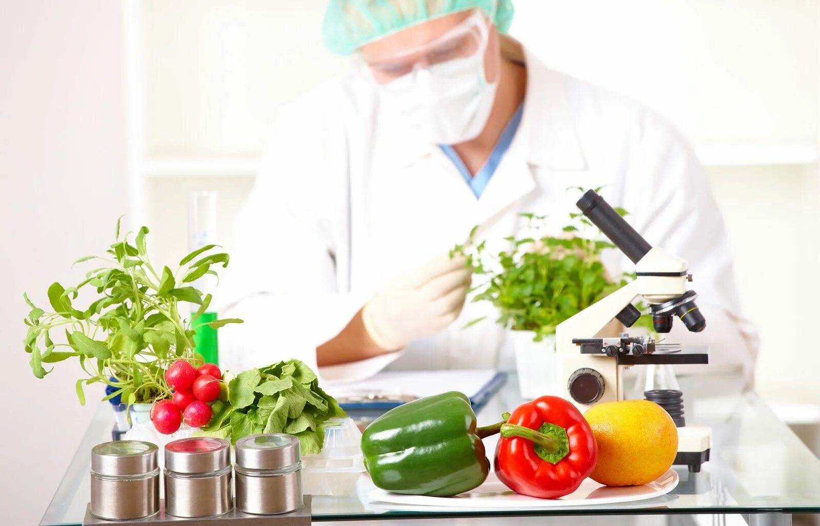 Наука продуктах питания